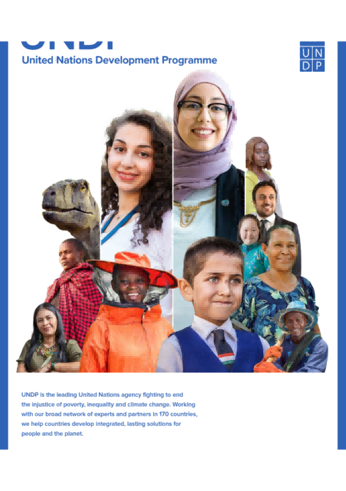 （英文）日本在联合国开发计划署的发展项目报告