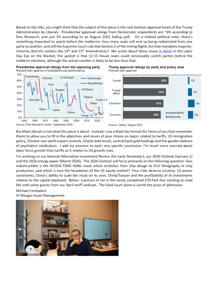 摩根大通资产管理部门：市场观察与关键矿产分析