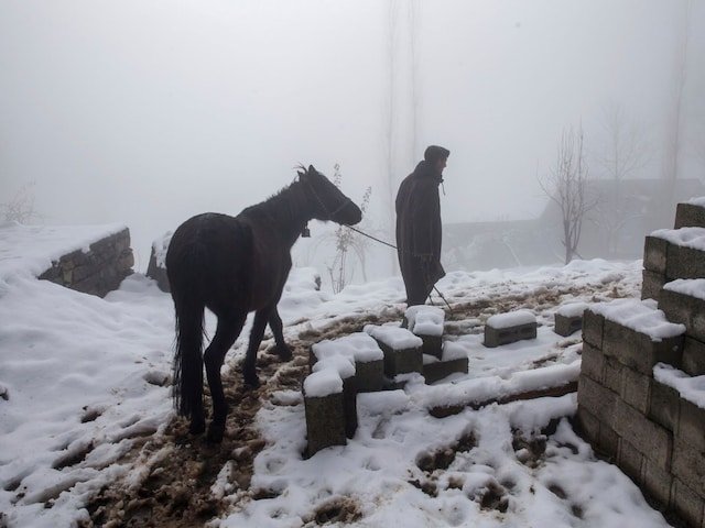 喜马拉雅雪荒：一场危及水安全、民生与区域稳定的气候危机