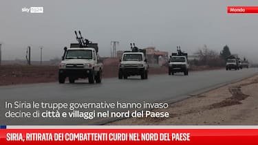 从“罗贾瓦”到“大马士革”：叙利亚停火协议背后的权力重构与地缘棋局