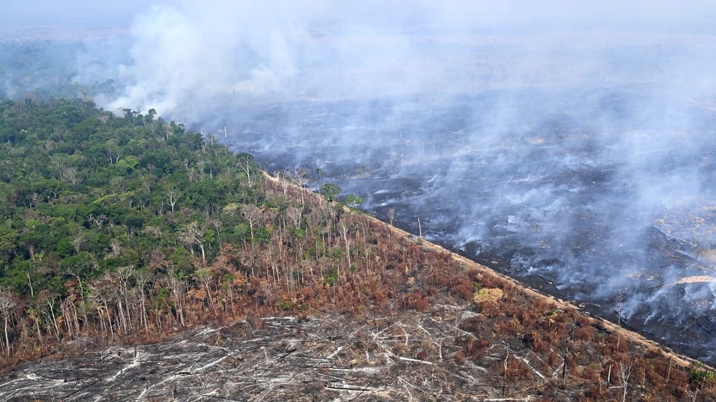 生态崩溃倒计时：2030年代的国家安全危机与全球秩序重构