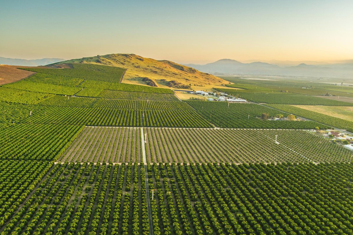 全球水破产：当消耗超越自然补给，人类如何应对不可逆的危机